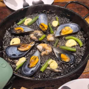 리코타파 사진