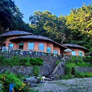 빛과소금 사진 2