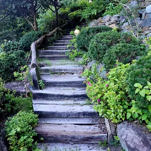 빛과소금 리뷰 사진