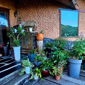 빛과소금 리뷰 사진