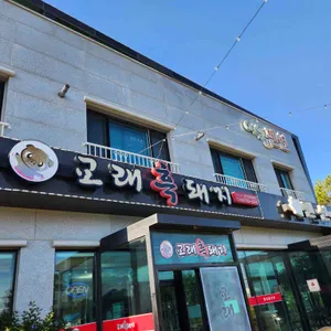 교래흑돼지 사진 1