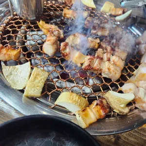 교래흑돼지 사진