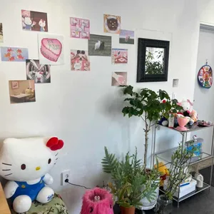 폰지 리뷰 사진