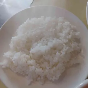 샬레 사진