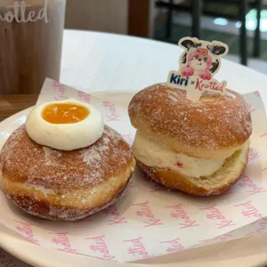 노티드 사진