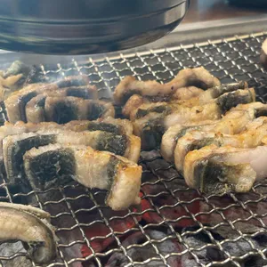 강력풍천장어 사진