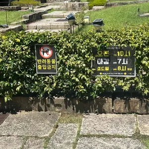더로드101 리뷰 사진