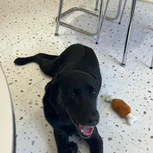 카페 모먼트리 리뷰 사진