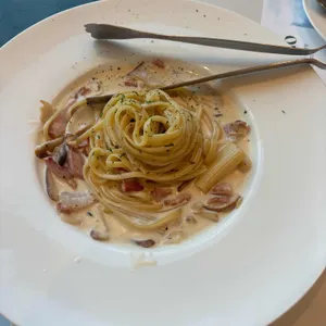 뚜띠쿠치나 사진