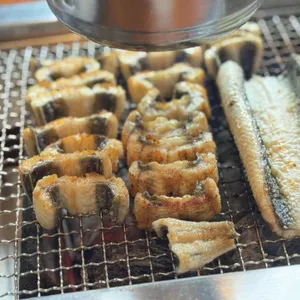 천상애장어가 사진