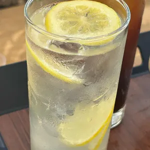 포레스트 대표 사진