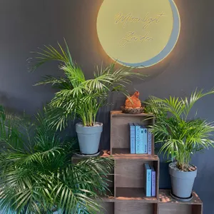 달빛 리뷰 사진