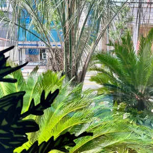 파코포코 밀스 리뷰 사진