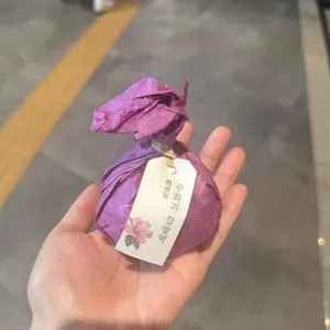 한정선 녹 사진