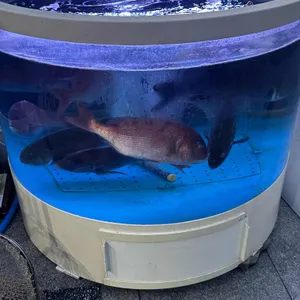 아리회직판장 리뷰 사진