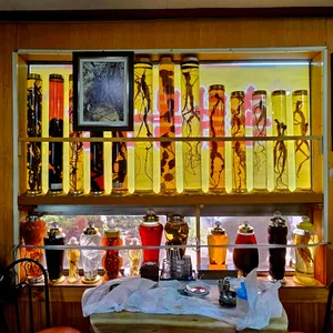 해송가염소탕 리뷰 사진