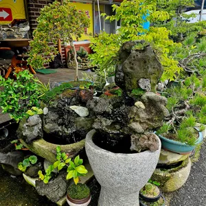 해송가염소탕 리뷰 사진