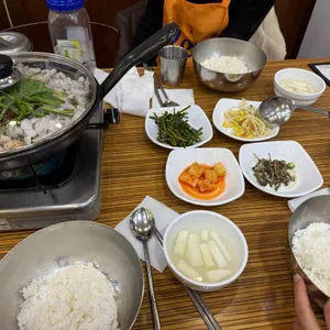 개미집 사진