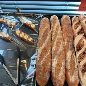 메트로폴리스 사진