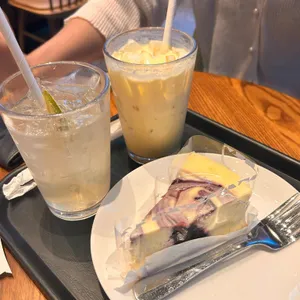 스타벅스 대표 사진