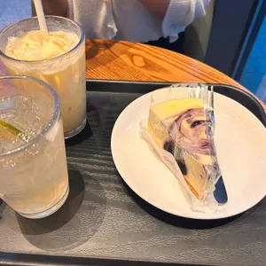 스타벅스 사진