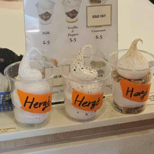에르제 리뷰 사진