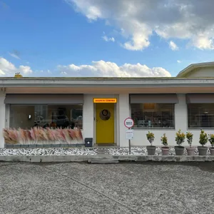 앨리스 커피 리뷰 사진