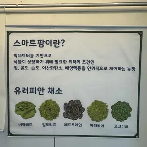 살라트앤올되다 리뷰 사진