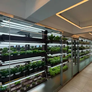 살라트앤올되다 리뷰 사진