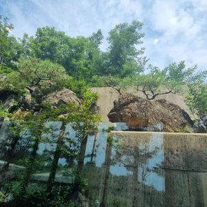 동백33 리뷰 사진