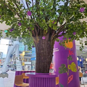 오크베리 리뷰 사진