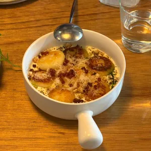 광야 사진