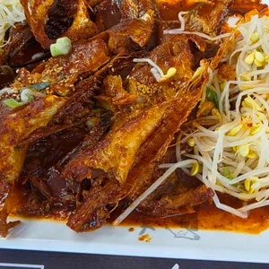 황금코다리 사진