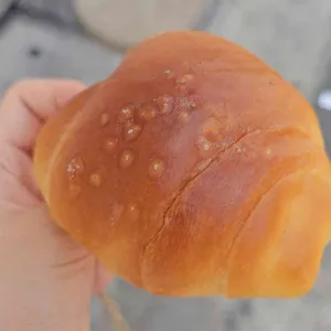자연도소금빵 사진