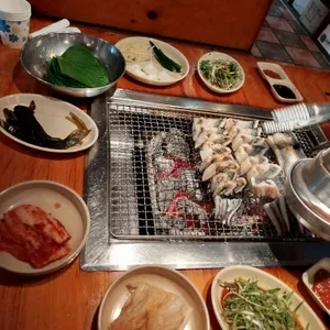 장어사냥 사진
