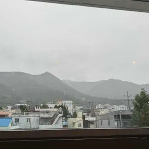 마들렌 리뷰 사진