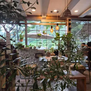 고운님오시는길 리뷰 사진