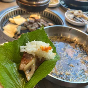 거북이동네 사진