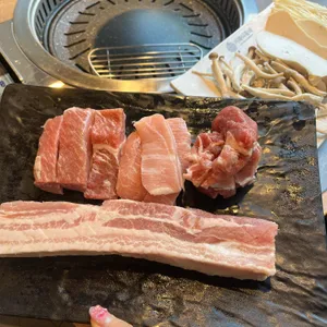 거북이동네 사진