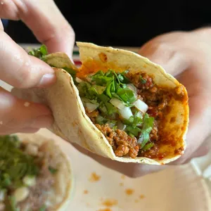 비야게레로 사진