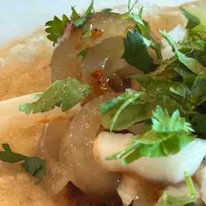 비야게레로 사진