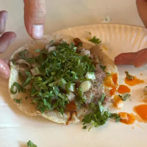 비야게레로 사진