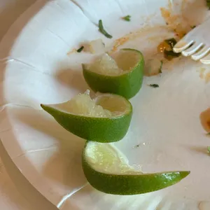 비야게레로 사진