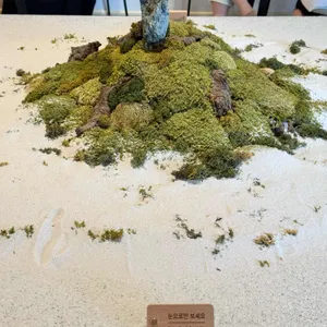 하도문속초 리뷰 사진