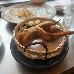 펠보 사진