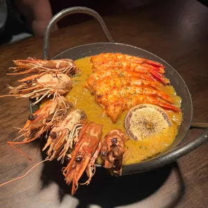 멕시타이거 사진