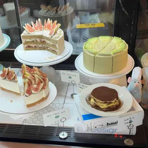 스테드 사진