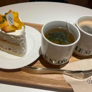 슬로우터틀 사진 1