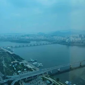 백리향 리뷰 사진