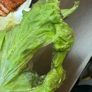 양은이네 사진
